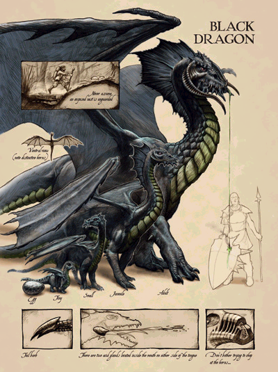 blackdragon.gif